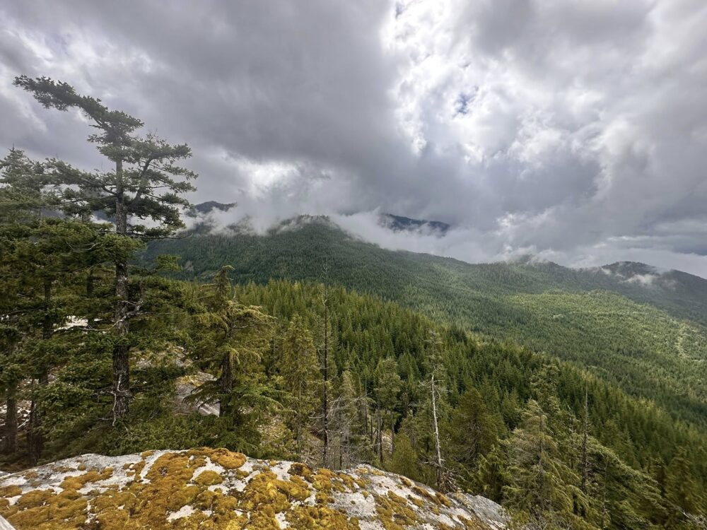 514270415_1179815394164248_625327102075997049_n