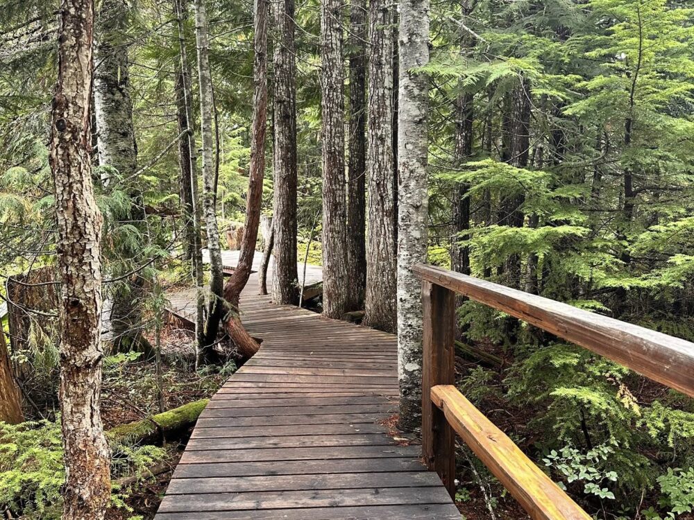 514353368_1179815364164251_6696723182632821898_n