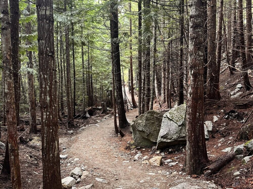 532488869_1179815500830904_163747716606087676_n