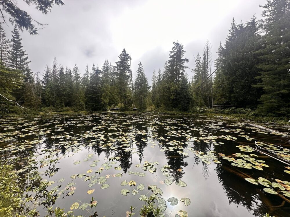 532943670_1179815617497559_6614414463490042215_n