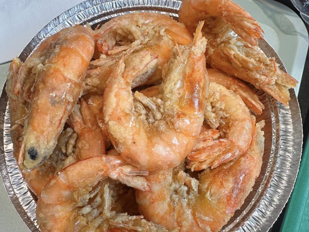 533032407_1179815537497567_2130390316708926642_n