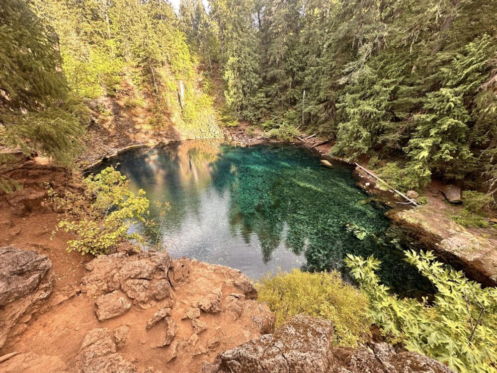 535390402_1182732427205878_299270284073560294_n